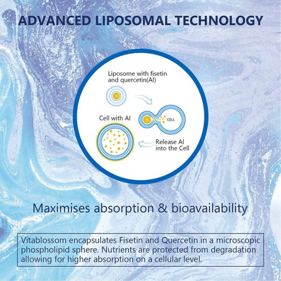 Vitablossom Liposomal Fisetin with Quercetin 1200mg/ 60 Softgels, High Absorption Antioxidant Flavonoid Vitamin Supplement Vitablossom Liposomal Fisetin with Quercetin 1200mg/ 60 Softgels, High Absorption Antioxidant Flavonoid Vitamin Supplement