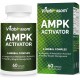 Vitablossom Premium Grade Jiaogulan Gynostemma+ Berberine, AMPK Activator Supplement 60 capsules