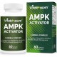 Vitablossom Premium Grade Jiaogulan Gynostemma+ Berberine, AMPK Activator Supplement 60 capsules Vitablossom Premium Grade Jiaogulan Gynostemma+ Berberine, AMPK Activator Supplement 60 capsules