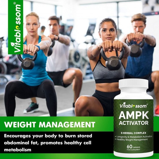 Vitablossom Premium Grade Jiaogulan Gynostemma+ Berberine, AMPK Activator Supplement 60 capsules Vitablossom Premium Grade Jiaogulan Gynostemma+ Berberine, AMPK Activator Supplement 60 capsules