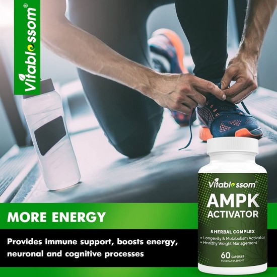 Vitablossom Premium Grade Jiaogulan Gynostemma+ Berberine, AMPK Activator Supplement 60 capsules Vitablossom Premium Grade Jiaogulan Gynostemma+ Berberine, AMPK Activator Supplement 60 capsules