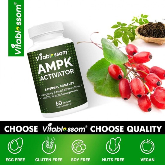 Vitablossom Premium Grade Jiaogulan Gynostemma+ Berberine, AMPK Activator Supplement 60 capsules Vitablossom Premium Grade Jiaogulan Gynostemma+ Berberine, AMPK Activator Supplement 60 capsules