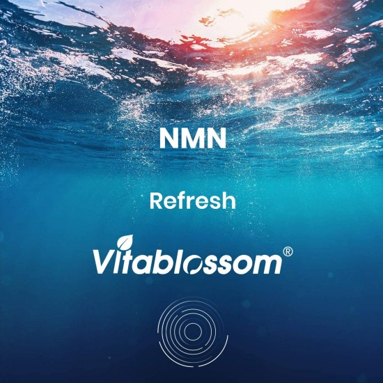 Vitablossom Refresh NMN Capsules with Maximum Strength 500mg 60 Capsules
