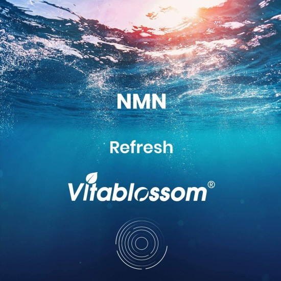 Vitablossom Refresh NMN Capsules with Maximum Strength 500mg 60 Capsules Vitablossom Refresh NMN Capsules with Maximum Strength 500mg 60 Capsules