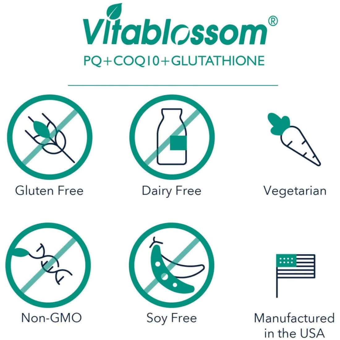 Buy Vitablossom High Absorption CoEnzyme Q10 PQQ with Pure Reduced