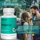 Vitablossom CoEnzyme Q10 PQQ with Pure Reduced Glutathione 520mg 60 Capsules
